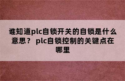 谁知道plc自锁开关的自锁是什么意思？ plc自锁控制的关键点在哪里